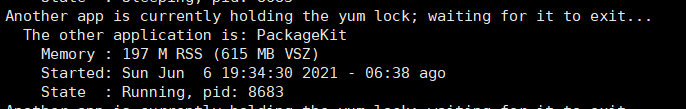 image-20210607104243205